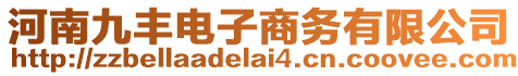 河南九豐電子商務有限公司