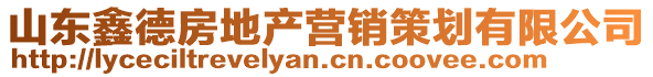 山東鑫德房地產營銷策劃有限公司