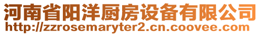 河南省陽洋廚房設備有限公司