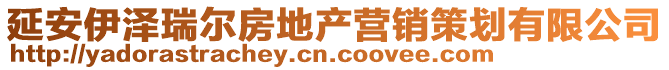 延安伊澤瑞爾房地產(chǎn)營(yíng)銷(xiāo)策劃有限公司