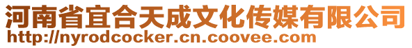 河南省宜合天成文化傳媒有限公司