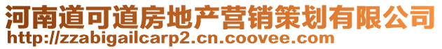 河南道可道房地產營銷策劃有限公司