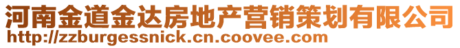 河南金道金達房地產營銷策劃有限公司