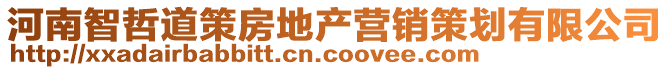 河南智哲道策房地產(chǎn)營(yíng)銷策劃有限公司