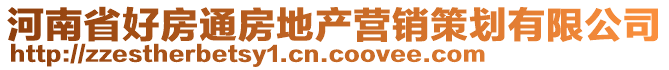 河南省好房通房地產(chǎn)營(yíng)銷策劃有限公司