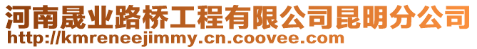 河南晟業(yè)路橋工程有限公司昆明分公司