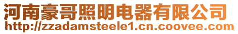 河南豪哥照明電器有限公司