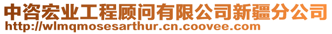 中咨宏業(yè)工程顧問有限公司新疆分公司