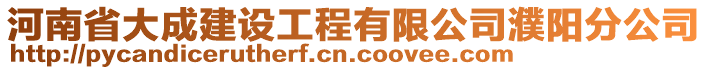 河南省大成建設(shè)工程有限公司濮陽分公司