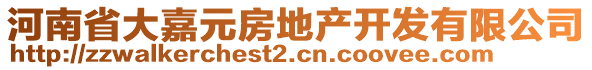 河南省大嘉元房地產(chǎn)開發(fā)有限公司