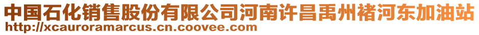 中國石化銷售股份有限公司河南許昌禹州褚河東加油站