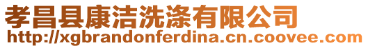 孝昌縣康潔洗滌有限公司