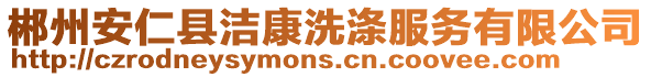 郴州安仁縣潔康洗滌服務有限公司