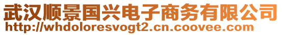 武漢順景國(guó)興電子商務(wù)有限公司