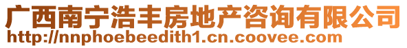 廣西南寧浩豐房地產咨詢有限公司