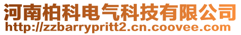 河南柏科电气科技有限公司