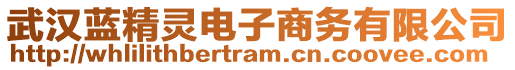 武漢藍(lán)精靈電子商務(wù)有限公司