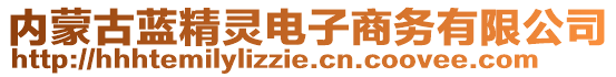 內(nèi)蒙古藍(lán)精靈電子商務(wù)有限公司