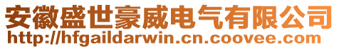 安徽盛世豪威電氣有限公司