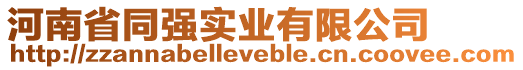 河南省同強(qiáng)實(shí)業(yè)有限公司