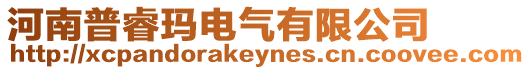 河南普睿瑪電氣有限公司