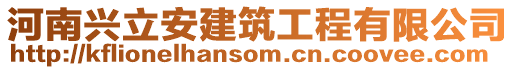 河南興立安建筑工程有限公司