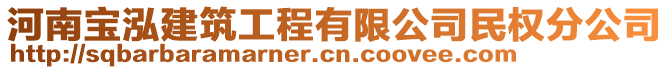 河南寶泓建筑工程有限公司民權(quán)分公司