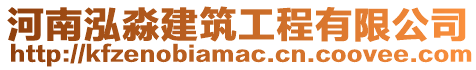 河南泓淼建筑工程有限公司