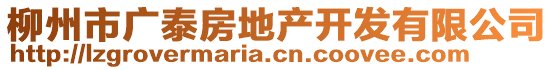 柳州市廣泰房地產(chǎn)開發(fā)有限公司