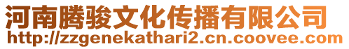 河南騰駿文化傳播有限公司