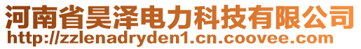 河南省昊澤電力科技有限公司