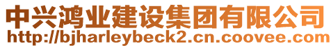 中興鴻業(yè)建設(shè)集團有限公司