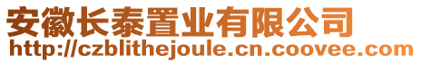 安徽長泰置業(yè)有限公司