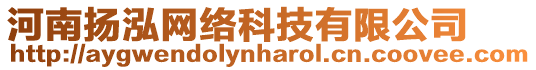 河南揚(yáng)泓網(wǎng)絡(luò)科技有限公司