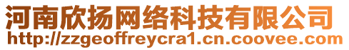 河南欣揚(yáng)網(wǎng)絡(luò)科技有限公司