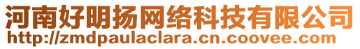 河南好明揚(yáng)網(wǎng)絡(luò)科技有限公司