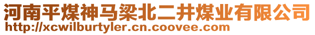 河南平煤神馬梁北二井煤業(yè)有限公司