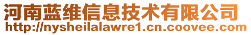 河南藍(lán)維信息技術(shù)有限公司