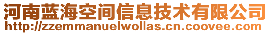 河南藍(lán)?？臻g信息技術(shù)有限公司