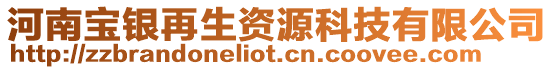 河南寶銀再生資源科技有限公司