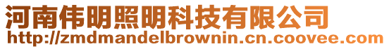 河南偉明照明科技有限公司