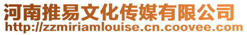 河南推易文化傳媒有限公司