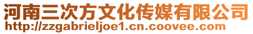河南三次方文化傳媒有限公司