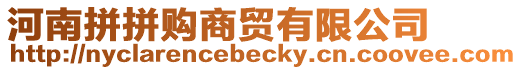 河南拼拼購商貿(mào)有限公司