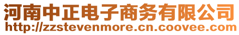 河南中正電子商務有限公司
