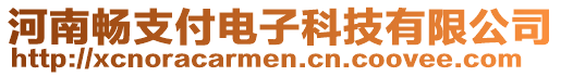 河南暢支付電子科技有限公司