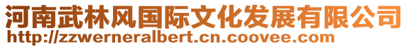 河南武林風(fēng)國(guó)際文化發(fā)展有限公司