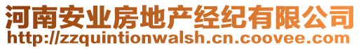 河南安業(yè)房地產(chǎn)經(jīng)紀(jì)有限公司