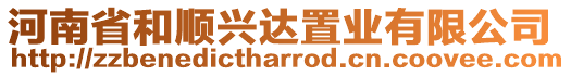 河南省和順興達置業有限公司
