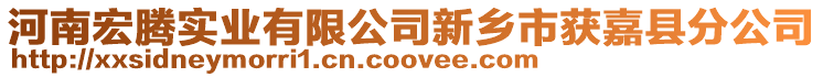 河南宏騰實(shí)業(yè)有限公司新鄉(xiāng)市獲嘉縣分公司